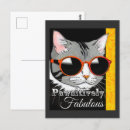 Search for fabulous postcards Stylish