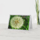 Search for macro flower cards Flora