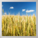 Search for growth posters Colour image