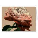 Search for ruby rose postcards Red