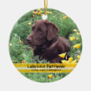 Search for pet round christmas tree decorations Brown