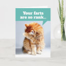 Search for noses cards Cat
