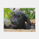 Search for black labrador doormats Funny