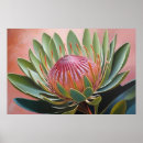 Search for protea art South africa