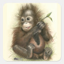 Search for rain forest stickers Baby