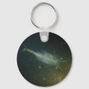 Search for shrimp key rings Crustacean