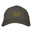 Search for harlem shake Meme