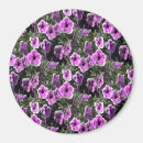 Search for petunia magnets Pink