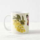 Search for cattleya mugs Botanical