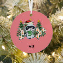 Search for raccoon christmas tree decorations Xmas