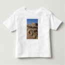 Search for vespasian tshirts Rome