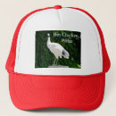 Search for red bird hats Chicken