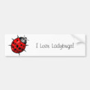 Search for ladybug bumper stickers Bugs