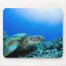 Search for resting mouse mats Animals