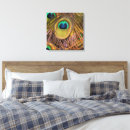 Search for peacock canvas prints Feather