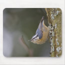 Search for nuthatch mouse mats Wildlife
