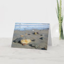 Search for massachusetts cards Sand