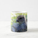 Search for easter chicks mugs Pet