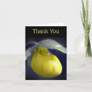 Search for black orchid cards Floral