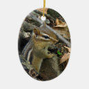 Search for chipmunk christmas tree decorations Rodent