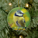 Search for blue bird christmas tree decorations Animals