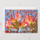Search for dogwood invitations Nature