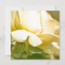 Search for yellow rose birthday invitations Flowers