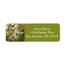 Search for hummingbirder return address labels Trochilidae
