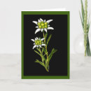 Search for edelweiss cards Floral