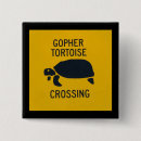 Search for gopher tortoise Photography