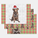 Search for chocolate lab wrapping paper Pets