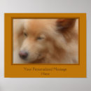 Search for sweet dog art Nature