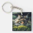 Search for fluffy key rings Animals