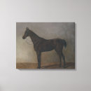 Search for bay thoroughbred art Equestrian