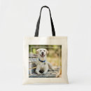 Search for bench bags Dog