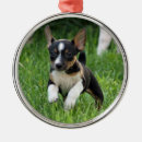 Search for rat terrier christmas tree decorations Cute