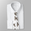 Search for afghans ties Pet