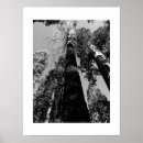 Search for tall photography Grey
