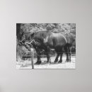 Search for draught art Farm