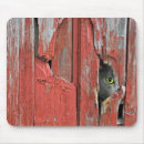 Search for hole mouse mats Animal