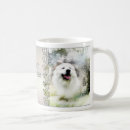 Search for occassion Dogs
