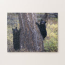 Search for black bear puzzles Environment