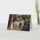 Search for dad get well cards Animal