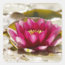 Search for blurred stickers Pink