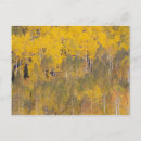 Search for lambert postcards Aspen