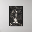 Search for moss canvas prints Outdoors