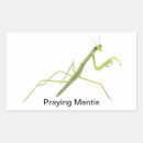 Search for praying mantis stickers Nature