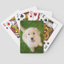 Search for golden retriever playing cards Smile