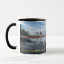 Search for marsh mugs Nature