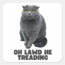 Search for fat cat stickers Chonk